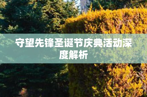 守望先锋圣诞节庆典活动深度解析图片