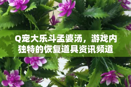 游戏内独特的恢复道具资讯频道图片