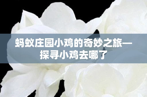 蚂蚁庄园小鸡的奇妙之旅图片