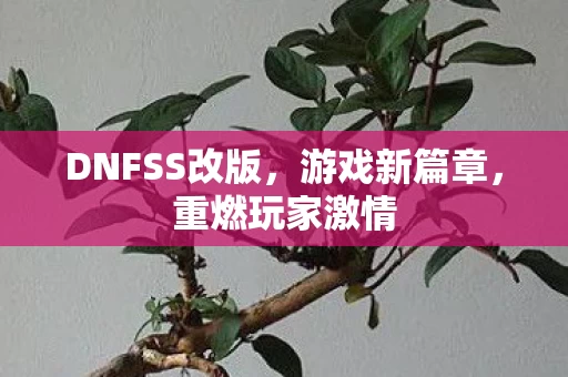 DNFSS改版图片