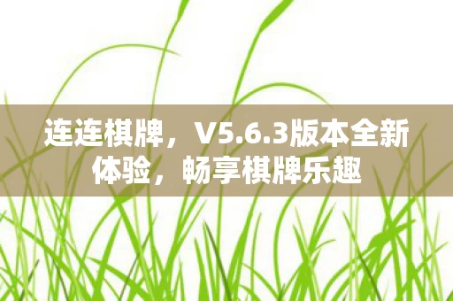 3版本全新体验图片