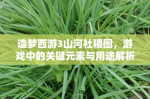 游戏中的关键元素与用途解析图片
