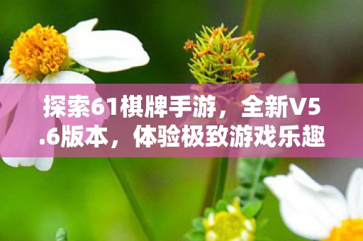 探索61棋牌手游图片