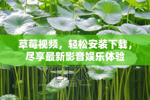 尽享最新影音娱乐体验图片