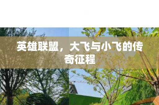 大飞与小飞的传奇征程图片