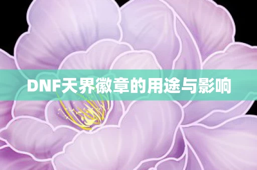 DNF天界徽章的用途与影响图片