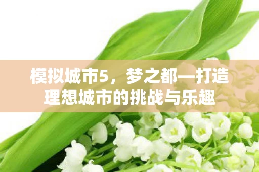 打造理想城市的挑战与乐趣图片