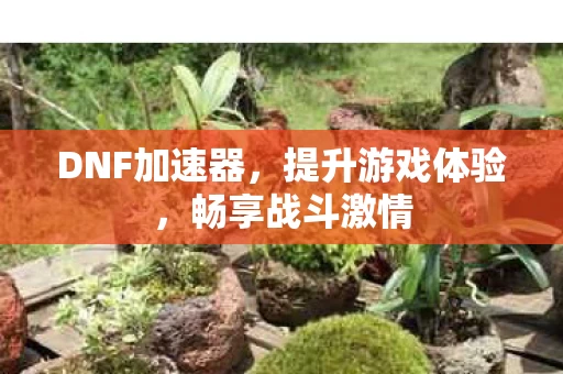 DNF加速器图片