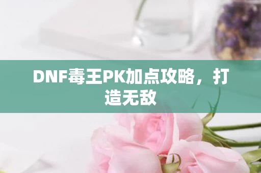 DNF毒王PK加点攻略图片