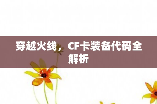 CF卡装备代码全解析图片