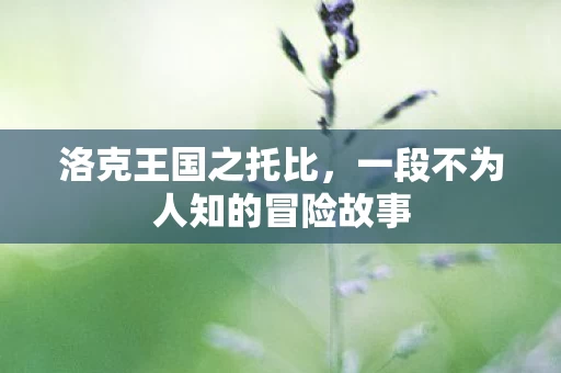 一段不为人知的冒险故事图片