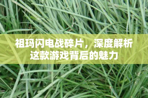 深度解析这款游戏背后的魅力图片