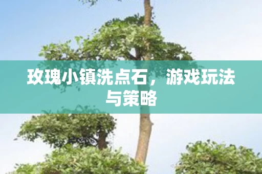 玫瑰小镇洗点石图片