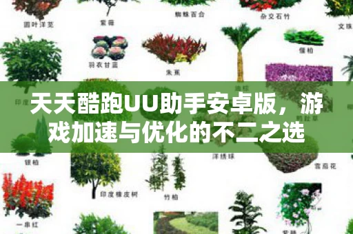 游戏加速与优化的不二之选图片