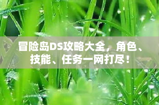 冒险岛DS攻略大全图片