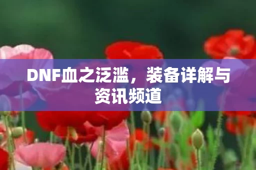 装备详解与资讯频道图片