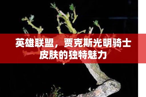 贾克斯光明骑士皮肤的独特魅力图片