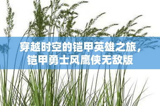穿越时空的铠甲英雄之旅图片