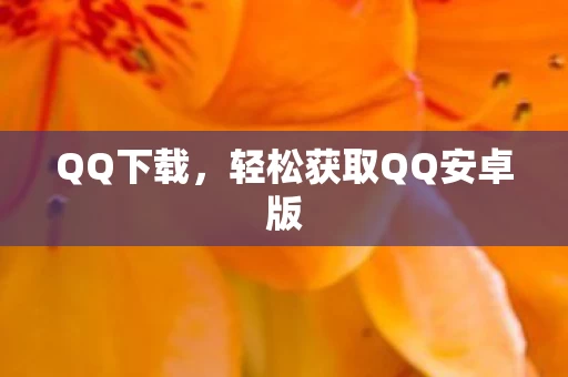 轻松获取QQ安卓版图片