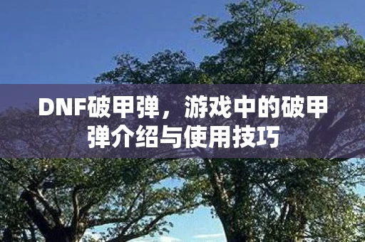 游戏中的破甲弹介绍与使用技巧图片