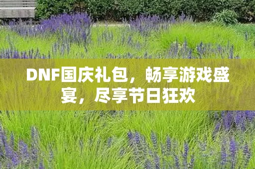 DNF国庆礼包图片