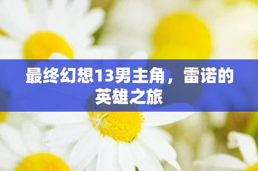 最终幻想13男主角图片