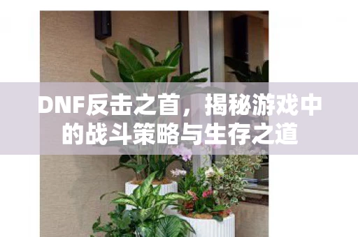 揭秘游戏中的战斗策略与生存之道图片