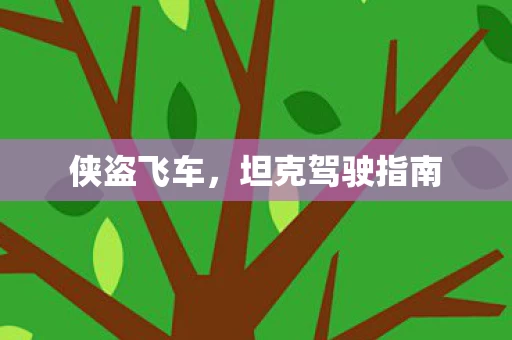 坦克驾驶指南图片