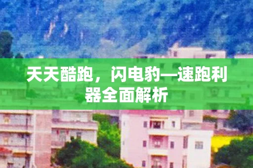 速跑利器全面解析图片