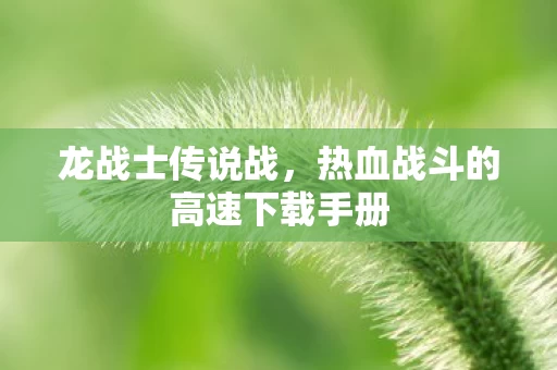 热血战斗的高速下载手册图片