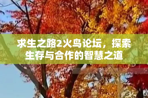 探索生存与合作的智慧之道图片