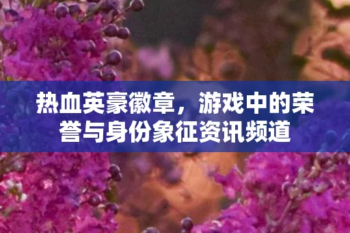 游戏中的荣誉与身份象征资讯频道图片