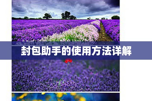 封包助手的使用方法详解图片