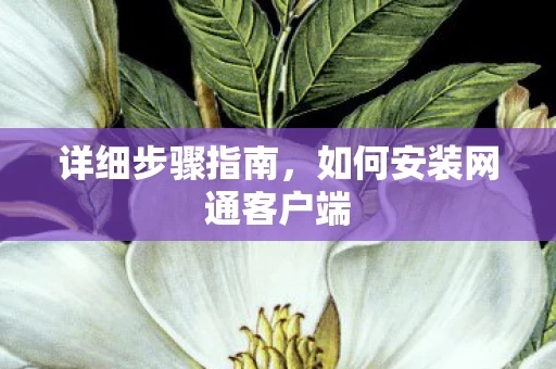 详细步骤指南,如何安装网通客户端 详细步骤指南,如何安装网通客户端