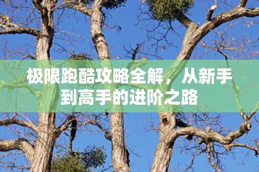 从新手到高手的进阶之路图片