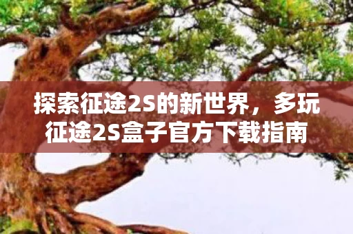 多玩征途2S盒子官方下载指南图片
