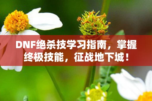 DNF绝杀技学习指南图片