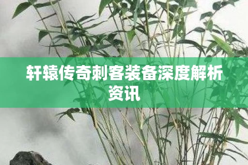 轩辕传奇刺客装备深度解析资讯图片