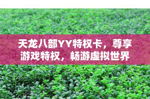 天龙八部YY特权卡图片