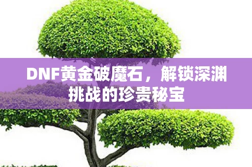 解锁深渊挑战的珍贵秘宝图片