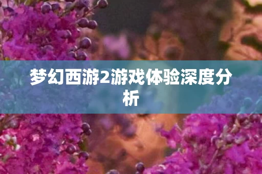 梦幻西游2游戏体验深度分析图片