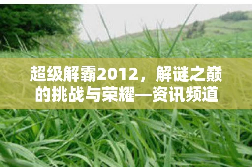 解谜之巅的挑战与荣耀图片