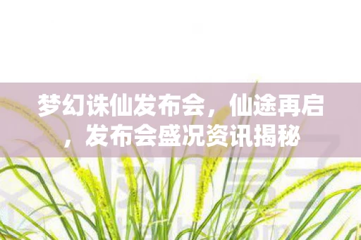 发布会盛况资讯揭秘图片