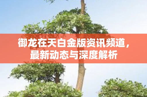 御龙在天白金版资讯频道图片