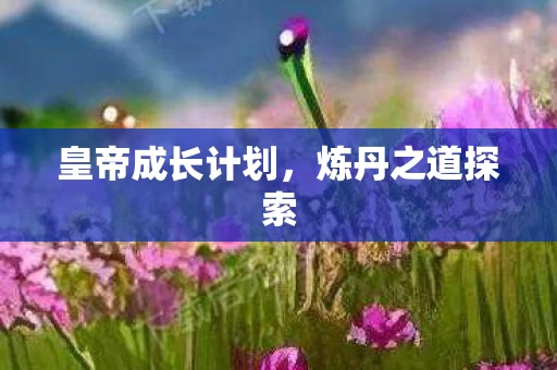皇帝成长计划图片