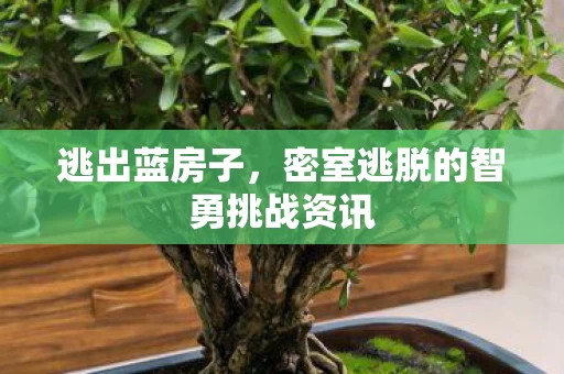 密室逃脱的智勇挑战资讯图片