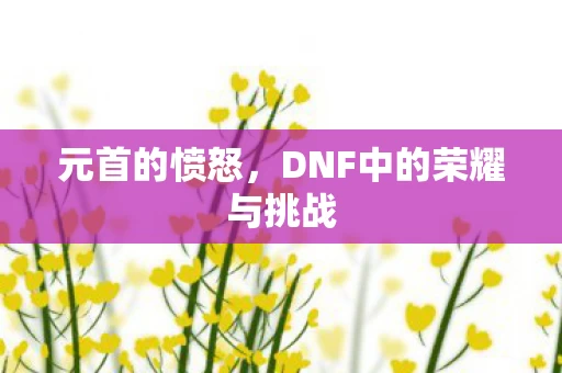 DNF中的荣耀与挑战图片