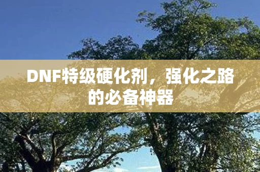 强化之路的必备神器图片