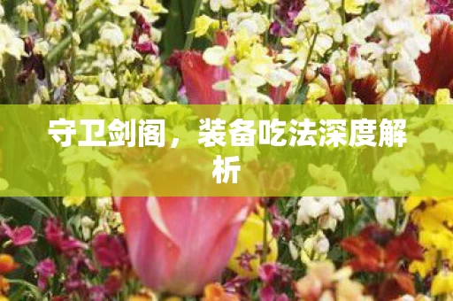 装备吃法深度解析图片
