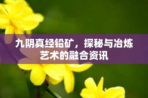 探秘与冶炼艺术的融合资讯图片